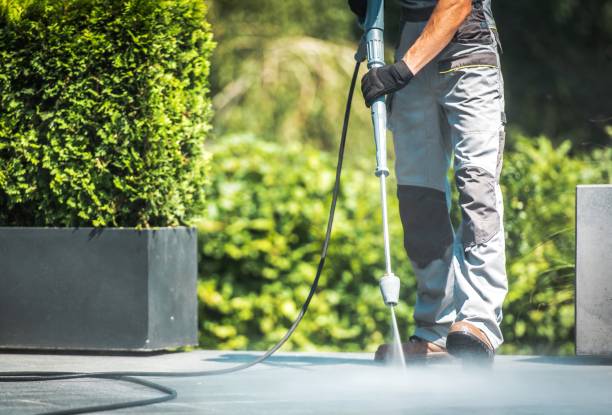 Best Graffiti Removal  in Ladson, SC